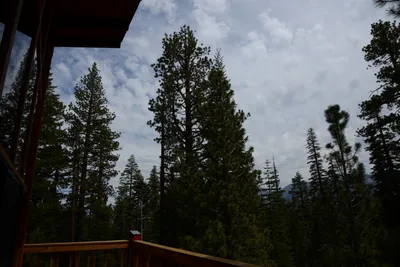 DSC_2931 (Large).JPG